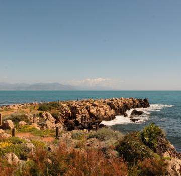 OUR ZERO PLASTIC WASTE COMMITMENT