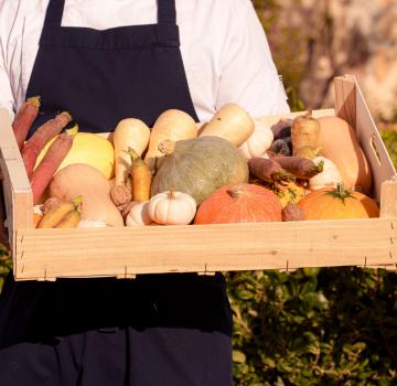 LES DOUCEURS AUTOMNALES DU SUD DE LA FRANCE