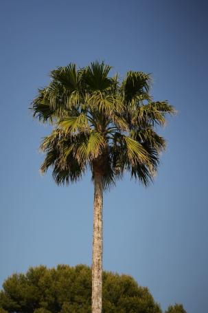 Villa Miraé - Hotel