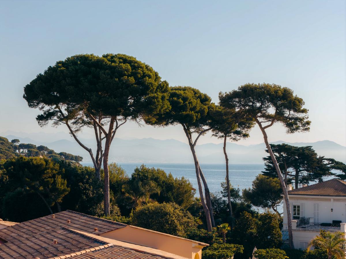 Villa Miraé - POPUP
